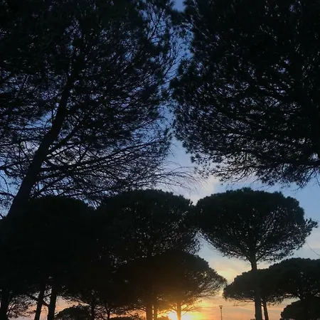 Apartment Gjiri I Lalzit