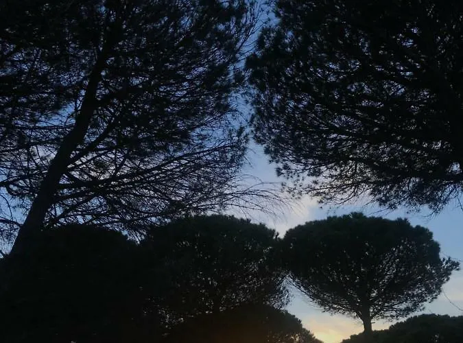 Apartament Gjiri I Lalzit